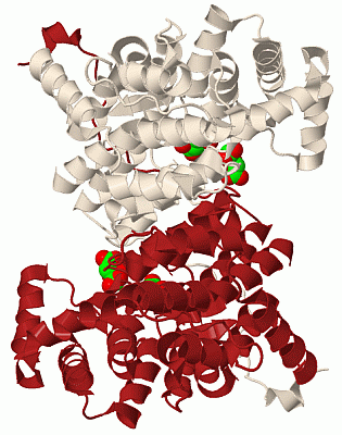 Image Biol.Unit 1 - manually