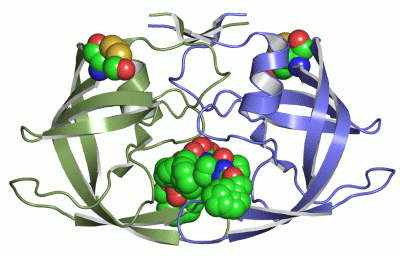 Image Asym./Biol. Unit - manually