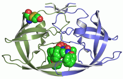 Image Asym./Biol. Unit - manually