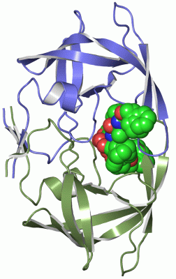 Image Asym./Biol. Unit - manually