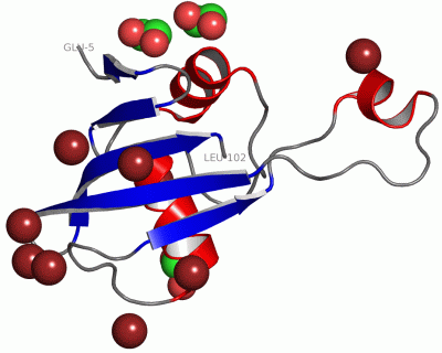 Image Asym./Biol. Unit - manually