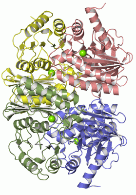 Image Asym./Biol. Unit - manually