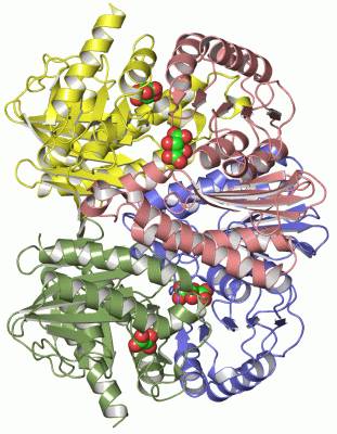 Image Asym./Biol. Unit - manually