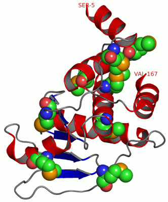 Image Asym./Biol. Unit - manually