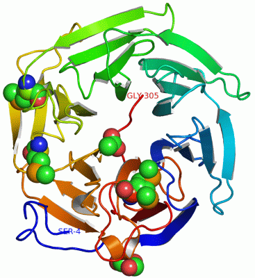 Image Asym./Biol. Unit - manually