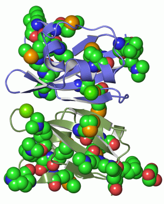 Image Asym./Biol. Unit - manually