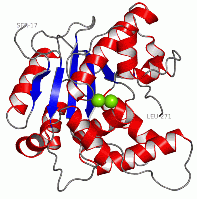 Image Asym./Biol. Unit - manually