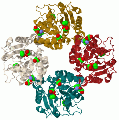 Image Biol.Unit 1 - manually