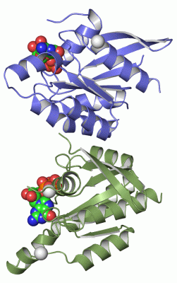 Image Asym./Biol. Unit - manually