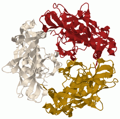 Image Biol.Unit 1 - manually