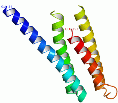 Image Asym./Biol. Unit - manually