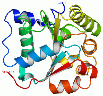 Image Asym./Biol. Unit - manually