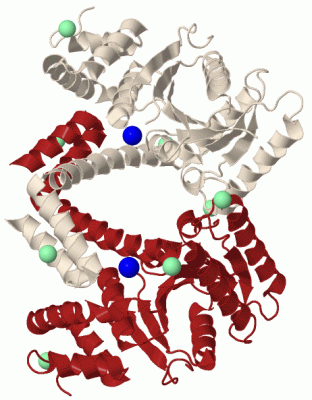 Image Biol.Unit 1 - manually