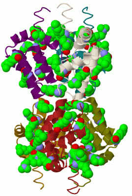 Image Biol.Unit 1 - manually