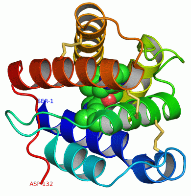 Image Asym./Biol. Unit - manually