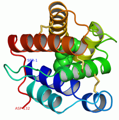 Image Asym./Biol. Unit - manually