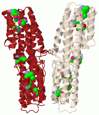 Image Biol.Unit 1 - manually