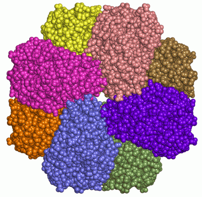 Image Asym./Biol. Unit - manually