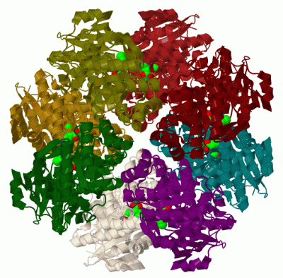 Image Biol.Unit 1 - manually