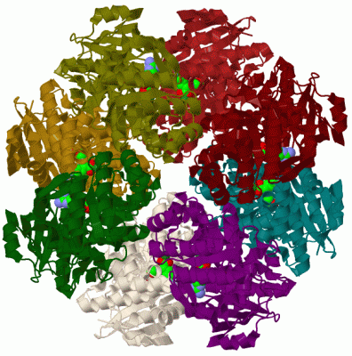 Image Biol.Unit 1 - manually