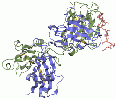 Image Asym./Biol. Unit - manually