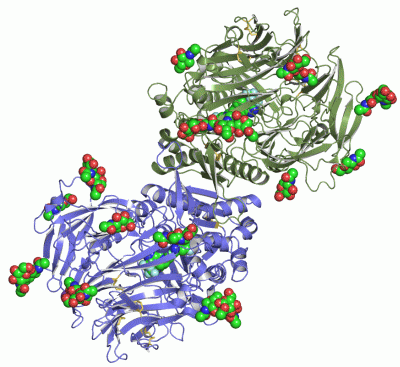 Image Asym./Biol. Unit - manually