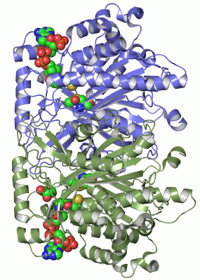 Image Asym./Biol. Unit - manually