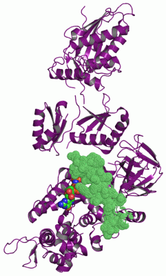 Image Asym./Biol. Unit - manually