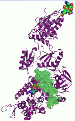 Image Asym./Biol. Unit - manually