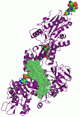 Image Asym./Biol. Unit - manually