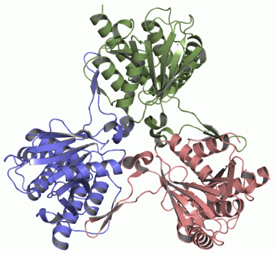 Image Asym./Biol. Unit - manually