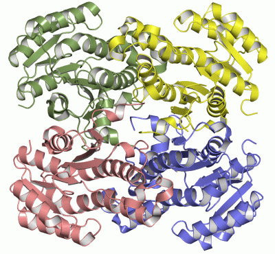 Image Asym./Biol. Unit - manually