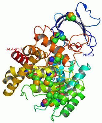 Image Asym./Biol. Unit - manually