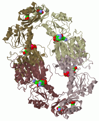 Image Biol.Unit 1 - manually