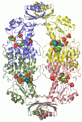 Image Asym./Biol. Unit - manually