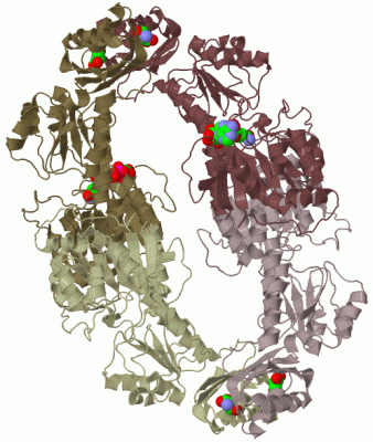 Image Biol.Unit 1 - manually