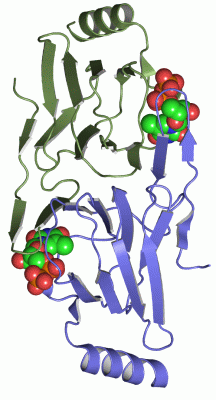 Image Asym./Biol. Unit - manually