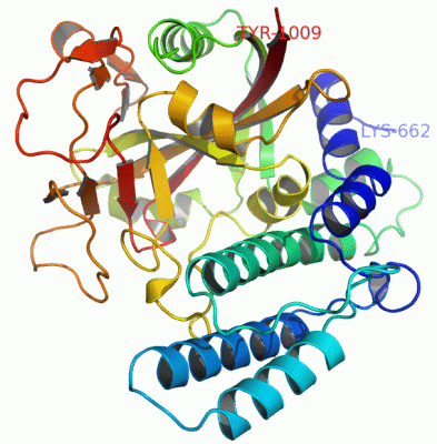 Image Asym./Biol. Unit - manually