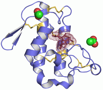 Image Asym./Biol. Unit - manually