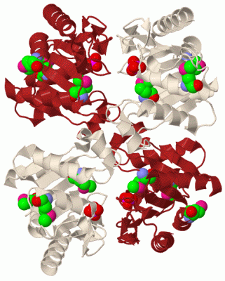 Image Biol.Unit 1 - manually