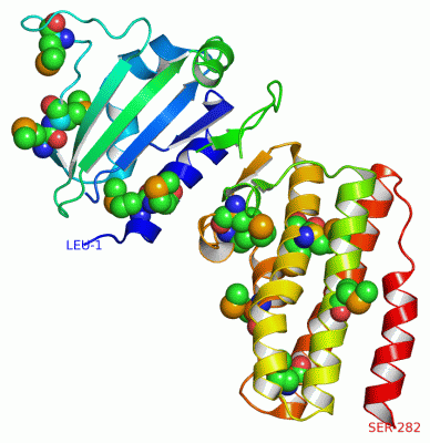 Image Asym./Biol. Unit - manually