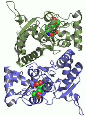 Image Asym./Biol. Unit - manually