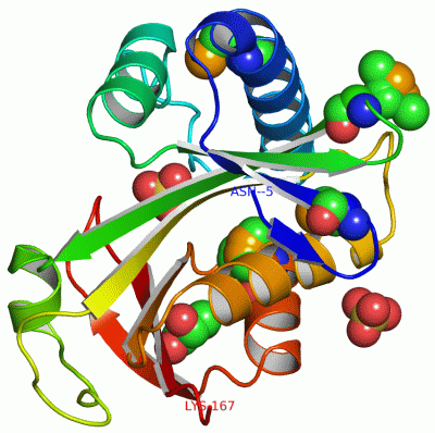 Image Asym./Biol. Unit - manually