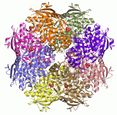 Image Asym./Biol. Unit - manually