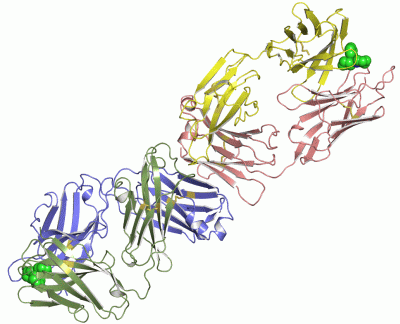 Image Asym.Unit - manually