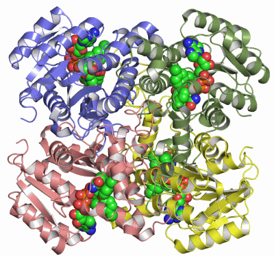 Image Asym./Biol. Unit - manually