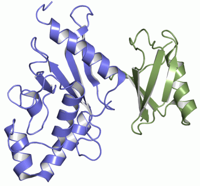 Image Asym./Biol. Unit - manually