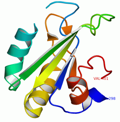 Image Asym./Biol. Unit - manually