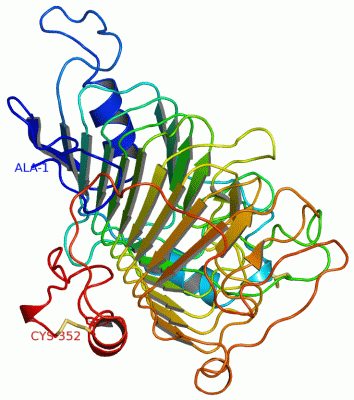 Image Asym./Biol. Unit - manually