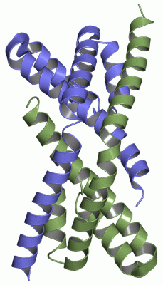 Image Asym./Biol. Unit - manually